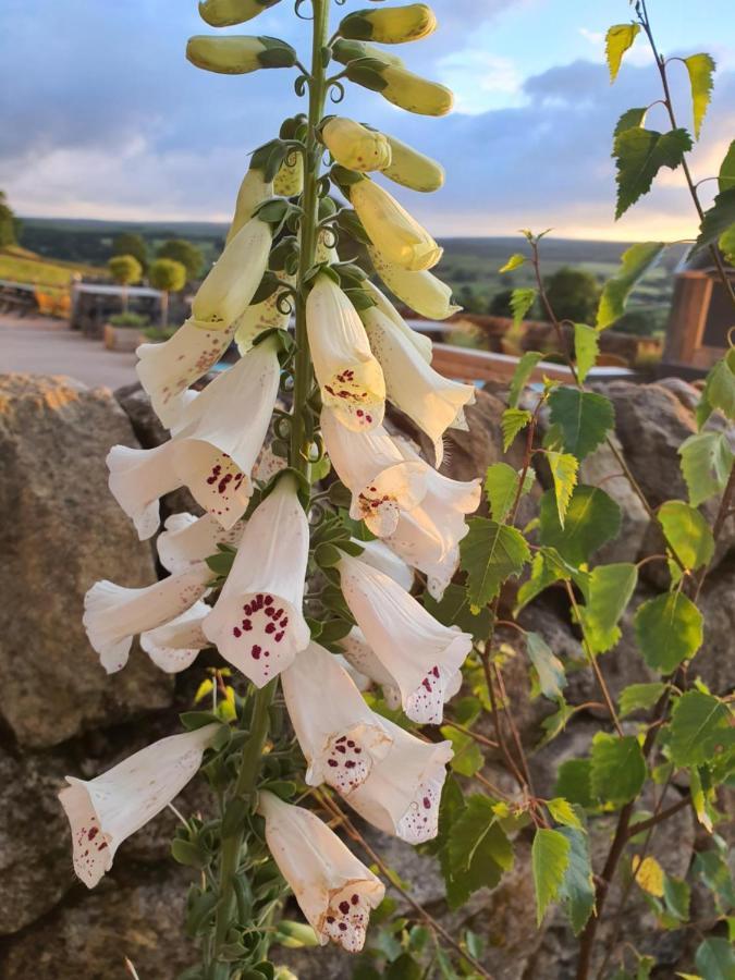 Howgill Farm Bolton Abbey Appletreewick Kültér fotó